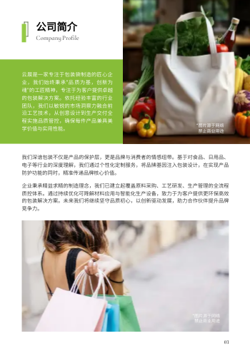包装袋定制礼品袋产品画册模板 - 第3页