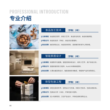轻工业职业学校方版招生画册制作 - 第6页
