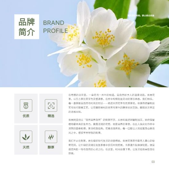 伴手礼花茶礼盒方版产品手册模板 - 第3页