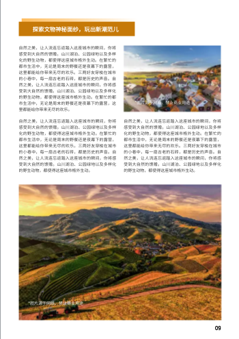 城市文旅宣传旅游期刊杂志模板 - 第9页