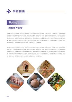 新手养宠猫狗饲养指南手册设计 - 第6页