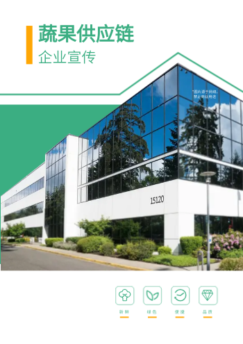 蔬果配送蔬菜供应链公司画册