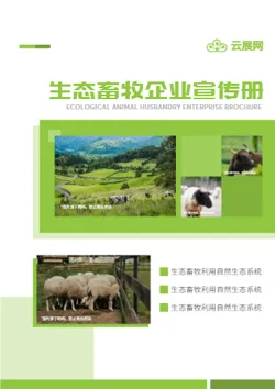 牧场畜牧养殖企业宣传画册