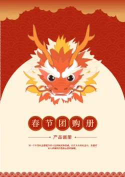 龙年春节礼盒糕点礼品产品画册