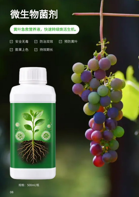 植物肥料园艺有机肥料产品画册制作 - 第6页