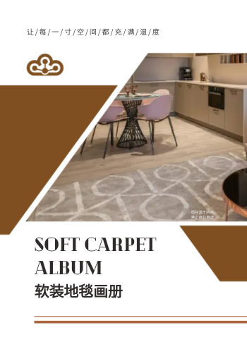 客厅地毯茶几地毯产品画册模板 - 封面预览