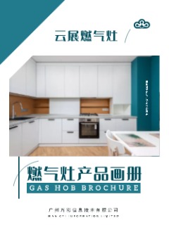 家用厨房燃气灶产品宣传画册