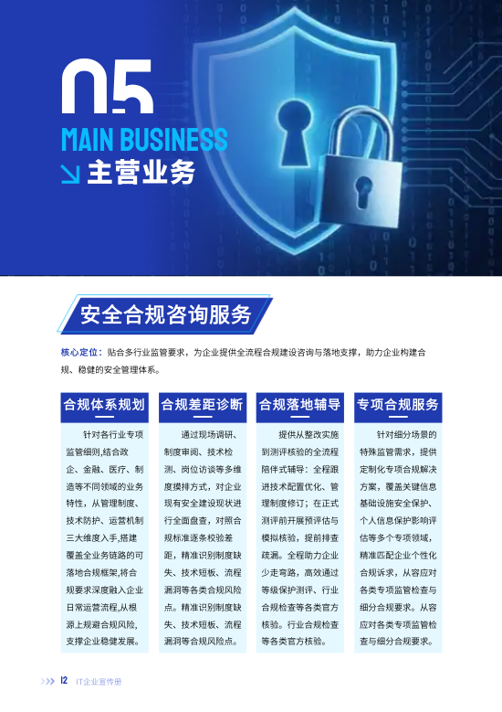 网络安全信息技术IT企业宣传册设计 - 第12页