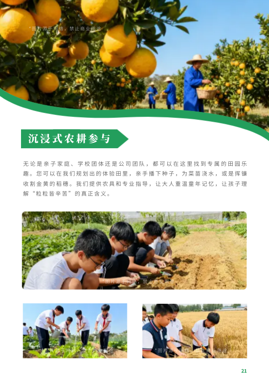 生态养殖牧业有机农场宣传册制作 - 第21页