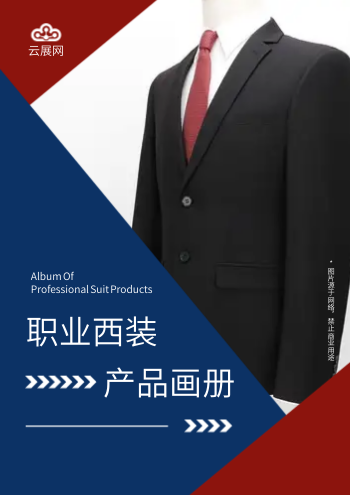 职场男西装工作正装产品画册