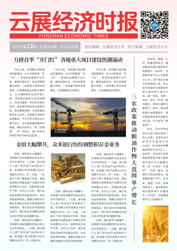 社会发展市场经济报纸设计 - 封面预览