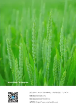 农作物农产品新品推介手册制作 - 封底预览