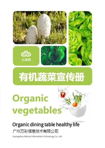 邮寄蔬菜宣传画册模板