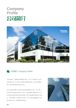 五金建材建筑五金企业画册模板 - 第4页