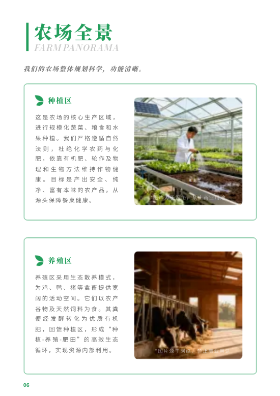 生态养殖牧业有机农场宣传册制作 - 第6页