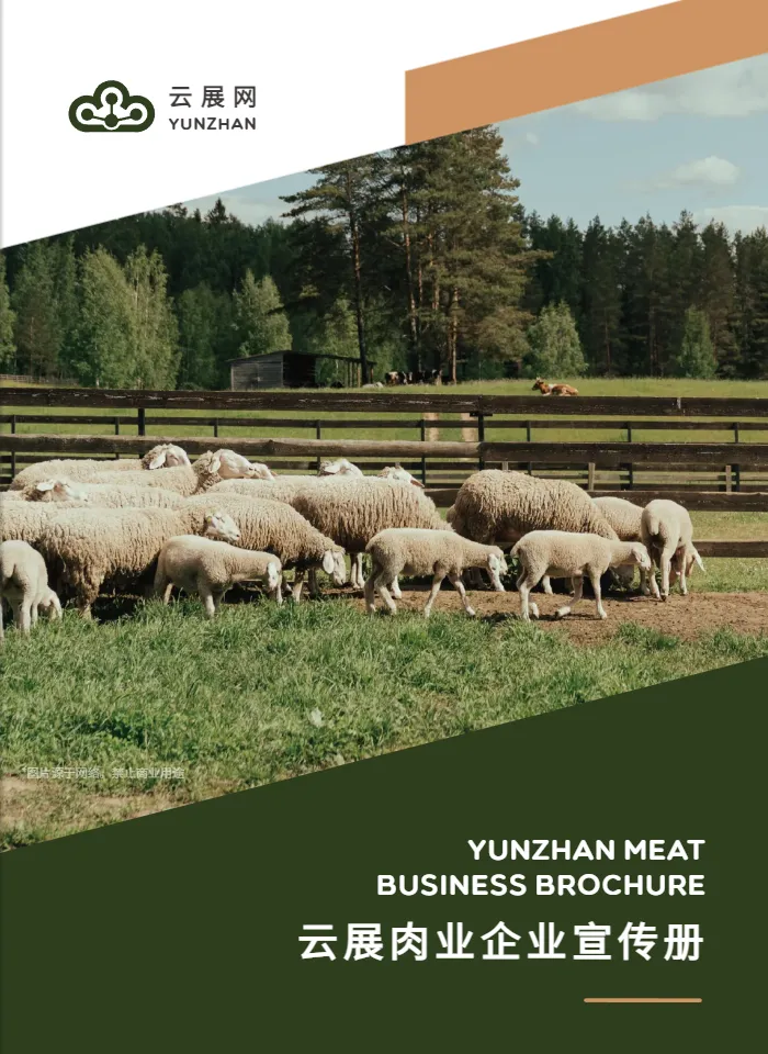 肉类批发产品画册模板