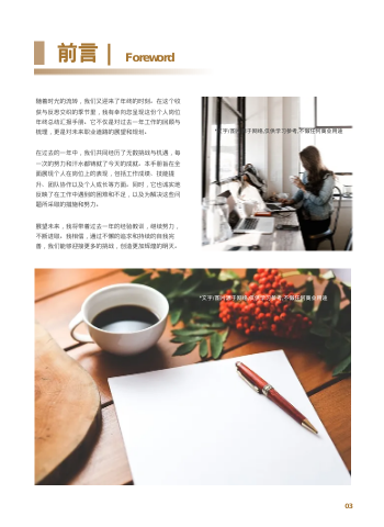 鎏金年度工作计划汇报手册模板 - 第3页