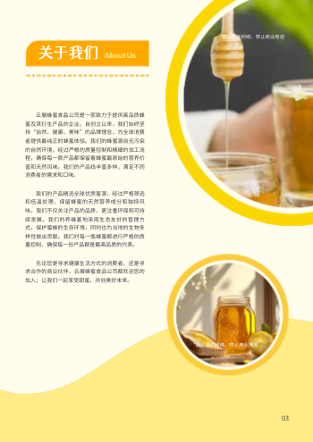 纯天然蜂蜜食品产品画册设计 - 第3页
