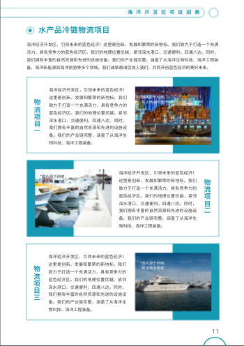 海洋经济开发区项目招商画册制作 - 第11页