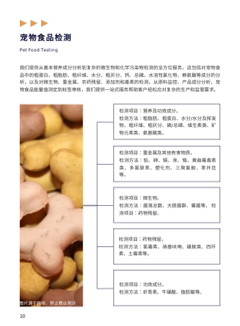 医药分析药品检测机构画册设计 - 第10页