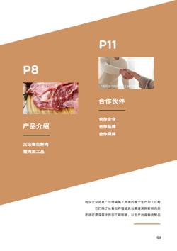 冷鲜肉加工肉业企业宣传册制作 - 第3页