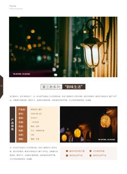 室内灯饰照明灯具产品宣传册模板 - 第8页