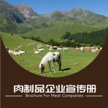 肉食批发肉业公司方版画册