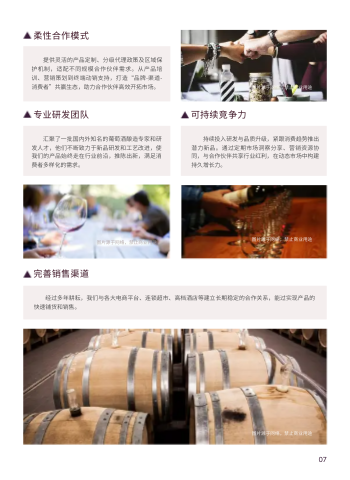 红酒代理葡萄酒招商画册制作 - 第7页