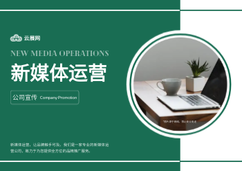 新媒体网络推广企业横版画册