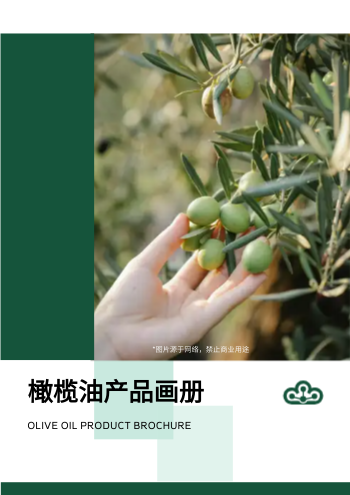 纯正橄榄油调和油团购画册