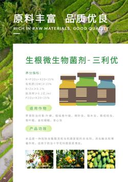 农作物果蔬类农药产品画册制作 - 第6页