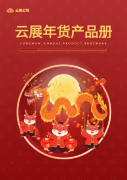 新春佳节年货礼包产品画册