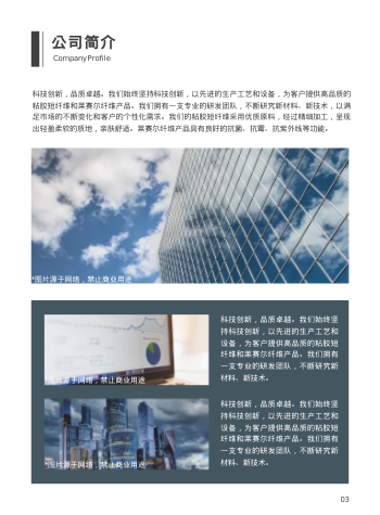 化学纤维化纤企业画册设计 - 第3页