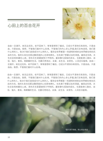 小清新个人青春诗文集画册模板 - 第10页