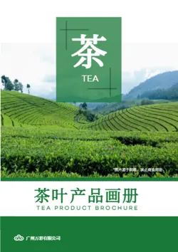 当季新茶普洱茶茶叶产品画册设计