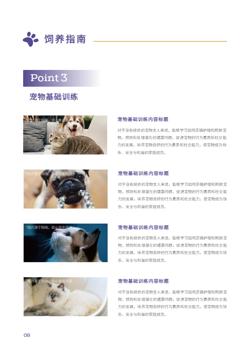 新手养宠猫狗饲养指南手册设计 - 第8页