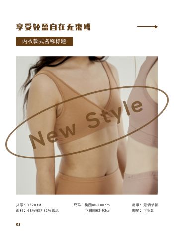 女士内衣套装文胸产品画册模板 - 第4页